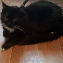 Аватар leks07422