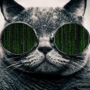 ilovedamncats826's Avatar