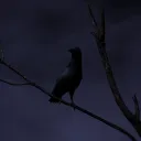 kxrpen