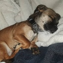 zadenllanes's Avatar