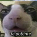 andres_pica_piedra avatar