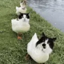 javaajavaa