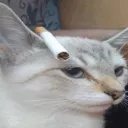l2qw