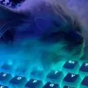 bluvking