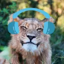 melon3s avatar