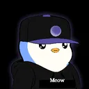 meow_78600