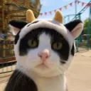 isokissa3