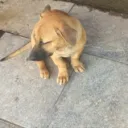 thanhnam_z2581