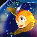 avatar A•viv•A🌷