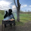 gregas_64