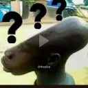 1425i358q6orw85e9_48385 avatar