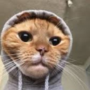 jelouzy_#4988's avatar