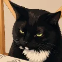 meowtroid_24