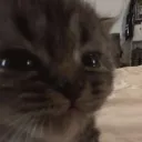 alcoholizzad0 avatar