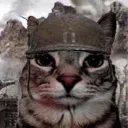 catnoddelsjump avatar