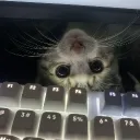 .iamdel_