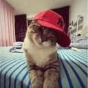 lxqas9