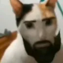 davicr7fan_37166 avatar