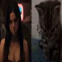 shouxshy