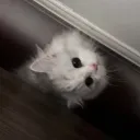 .revery.