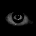 intriguedguy