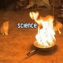 NP7