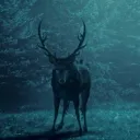 cannibal_oddfellow