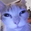 vxndemon