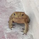 dark_blade123._45855 avatar