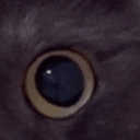 03ba