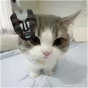 carlimoralesr avatar