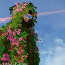 『annamon123』The Collector