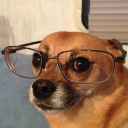 moonplayer26's Avatar