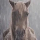 Аватар sunexx.0_72507