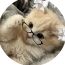 avatar aywy