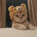 willoflower_
