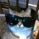 slushycat66