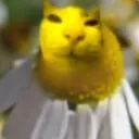 pepinified