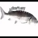 minblogami95_68960 avatar