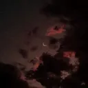 jendoubi24