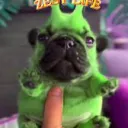 elcojeabuelitas3000_54227 avatar