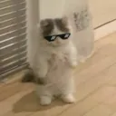 abotderbot2