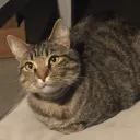 letmeonman1304 avatar