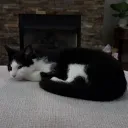 scowyyy