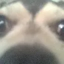 randomguy_forfun