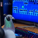 gamer-602af9b