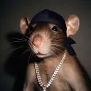 tranquil_lynx_85689 avatar