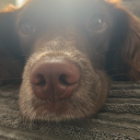 Oscar