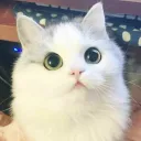 cr0ss_02