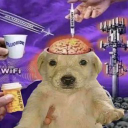 just_a_account83 member profile picture